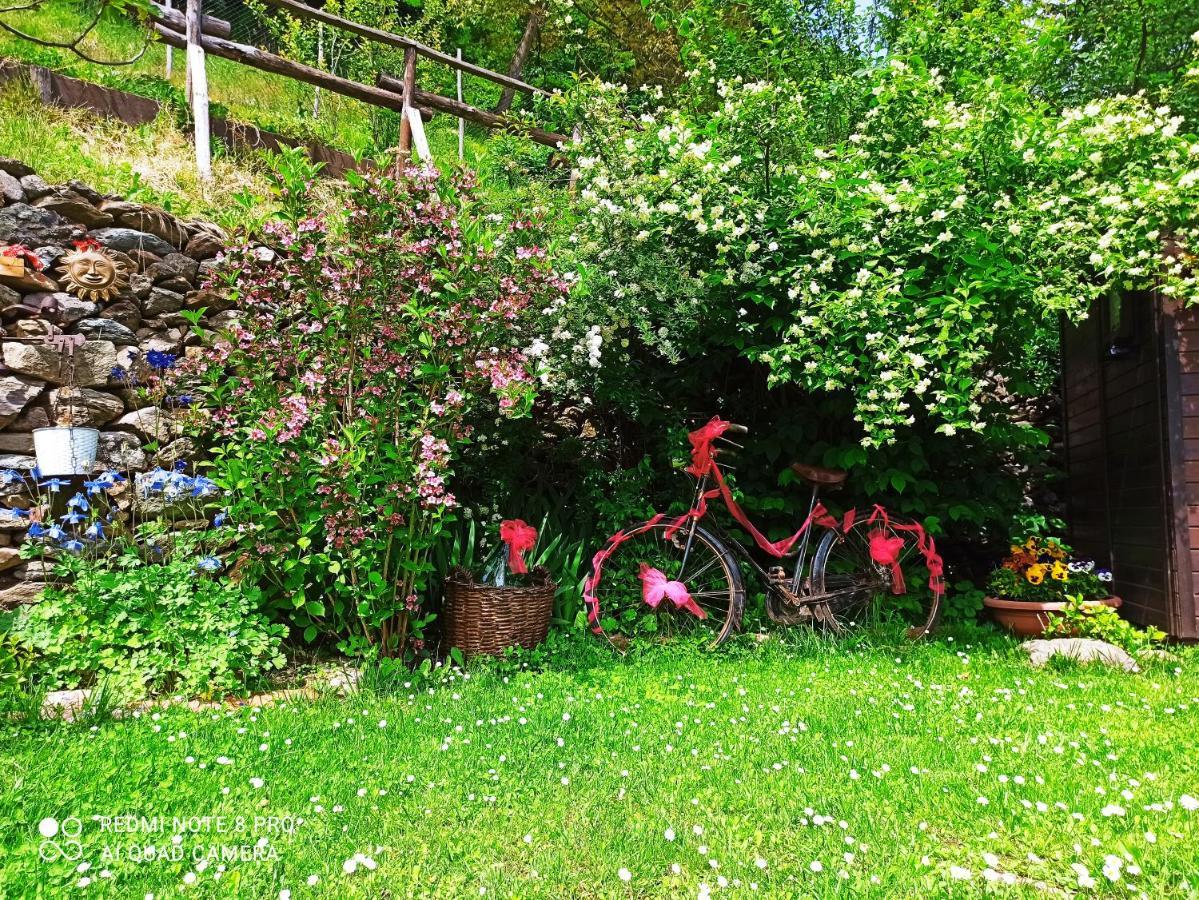 B&B Va...Lentina Piavata Kültér fotó