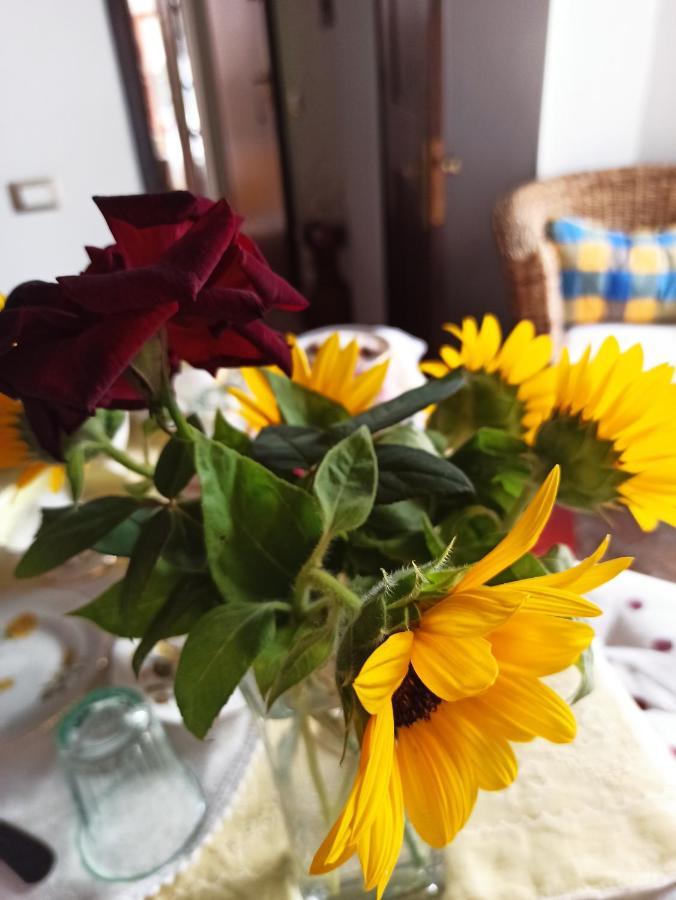 B&B Va...Lentina Piavata Kültér fotó